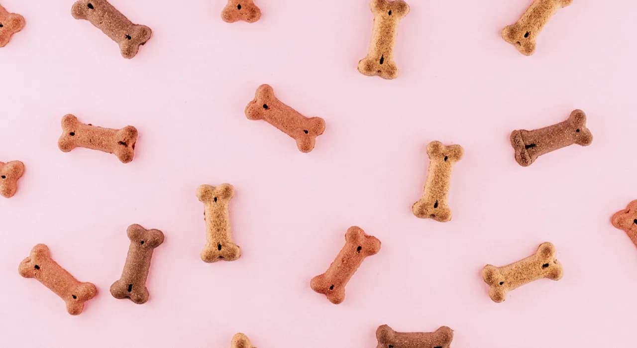 Jak zrobić przekąski dla psa, które są zdrowe i smaczne dla pupila