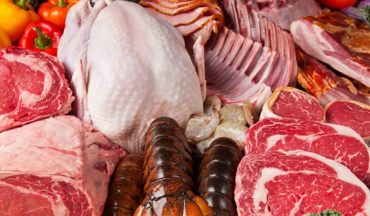 Móżdżek wieprzowy gdzie kupić - najlepsze miejsca i ceny w Polsce