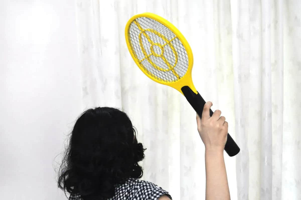 Skuteczne metody na pozbycie się much z restauracji i ich zapobieganie